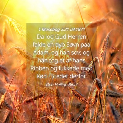 Picture 04 - 1 Mosebog 2:21 DA1871 - Da lod Gud Herren falde en dyb Søvn paa Adam, og - Bible Verse Picture