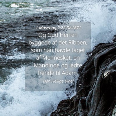Picture 04 - 1 Mosebog 2:22 DA1871 - Og Gud Herren byggede af det Ribben, som han - Bible Verse Picture