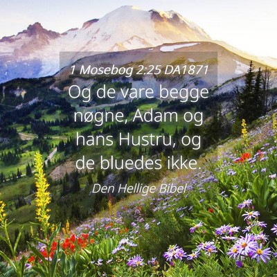 Picture 04 - 1 Mosebog 2:25 DA1871 - Og de vare begge nøgne, Adam og hans Hustru, og - Bible Verse Picture