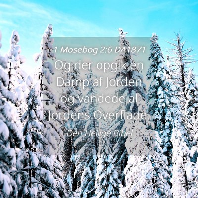 Picture 04 - 1 Mosebog 2:6 DA1871 - Og der opgik en Damp af Jorden og vandede al - Bible Verse Picture