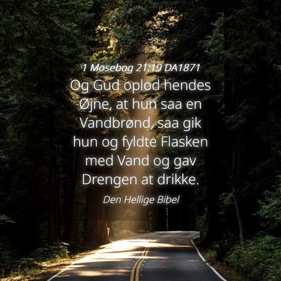 Picture 04 - 1 Mosebog 21:19 DA1871 - Og Gud oplod hendes Øjne, at hun saa en - Bible Verse Picture