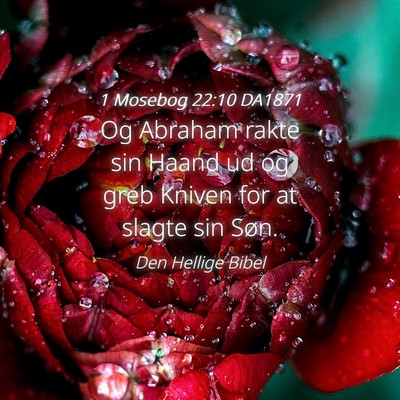 Picture 04 - 1 Mosebog 22:10 DA1871 - Og Abraham rakte sin Haand ud og greb Kniven for - Bible Verse Picture