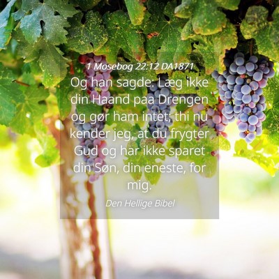 Picture 04 - 1 Mosebog 22:12 DA1871 - Og han sagde: Læg ikke din Haand paa Drengen og - Bible Verse Picture