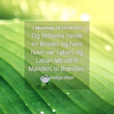 Picture 04 - 1 Mosebog 24:29 DA1871 - Og Rebekka havde en Broder, og hans Navn var - Bible Verse Picture