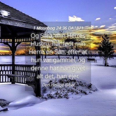 Picture 04 - 1 Mosebog 24:36 DA1871 - Og Sara, min Herres Hustru, har født min Herre - Bible Verse Picture
