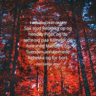 Picture 04 - 1 Mosebog 24:61 DA1871 - Saa stod Rebekka op og hendes Piger, og de satte - Bible Verse Picture