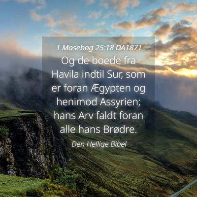 Picture 04 - 1 Mosebog 25:18 DA1871 - Og de boede fra Havila indtil Sur, som er foran - Bible Verse Picture