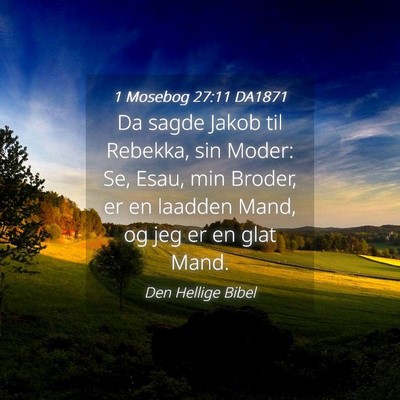 Picture 04 - 1 Mosebog 27:11 DA1871 - Da sagde Jakob til Rebekka, sin Moder: Se, Esau, - Bible Verse Picture