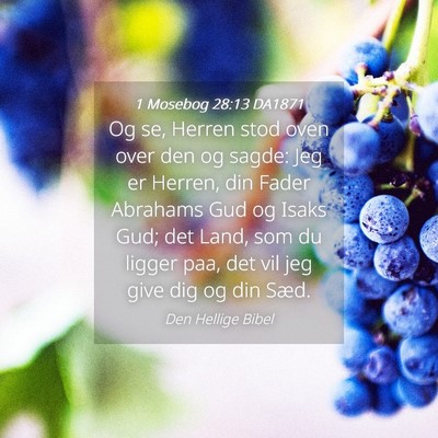 Picture 04 - 1 Mosebog 28:13 DA1871 - Og se, Herren stod oven over den og sagde: Jeg er - Bible Verse Picture