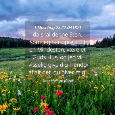 Picture 04 - 1 Mosebog 28:22 DA1871 - da skal denne Sten, som jeg har oprejst til en - Bible Verse Picture