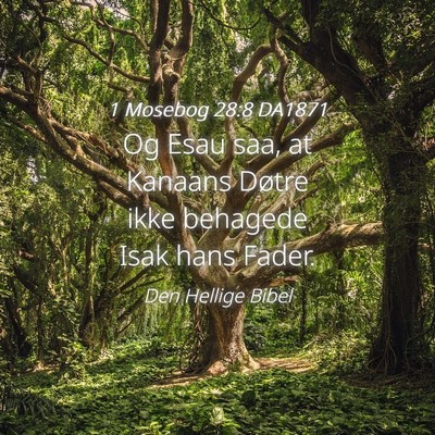 Picture 04 - 1 Mosebog 28:8 DA1871 - Og Esau saa, at Kanaans Døtre ikke behagede Isak - Bible Verse Picture