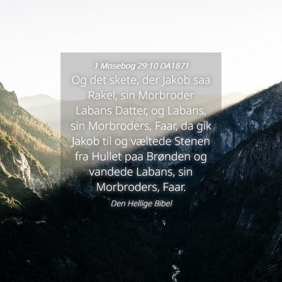 Picture 04 - 1 Mosebog 29:10 DA1871 - Og det skete, der Jakob saa Rakel, sin Morbroder - Bible Verse Picture