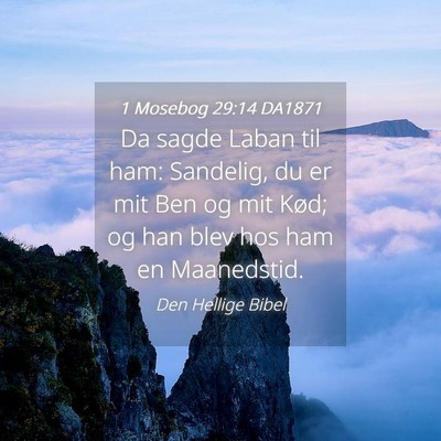 Picture 04 - 1 Mosebog 29:14 DA1871 - Da sagde Laban til ham: Sandelig, du er mit Ben - Bible Verse Picture