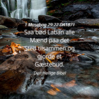Picture 04 - 1 Mosebog 29:22 DA1871 - Saa bød Laban alle Mænd paa det Sted tilsammen - Bible Verse Picture