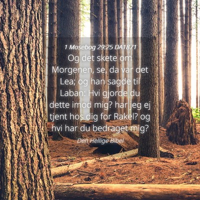 Picture 04 - 1 Mosebog 29:25 DA1871 - Og det skete om Morgenen, se, da var det Lea; og - Bible Verse Picture