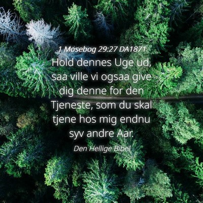 Picture 04 - 1 Mosebog 29:27 DA1871 - Hold dennes Uge ud, saa ville vi ogsaa give dig - Bible Verse Picture