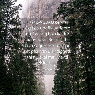Picture 04 - 1 Mosebog 29:32 DA1871 - Og Lea undfik og fødte en Søn, og hun kaldte - Bible Verse Picture