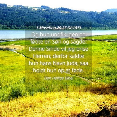 Picture 04 - 1 Mosebog 29:35 DA1871 - Og hun undfik igen og fødte en Søn og sagde: - Bible Verse Picture