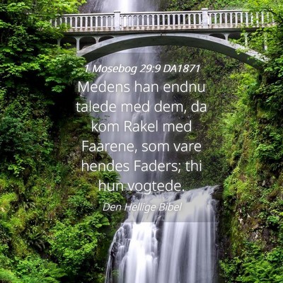 Picture 04 - 1 Mosebog 29:9 DA1871 - Medens han endnu talede med dem, da kom Rakel med - Bible Verse Picture
