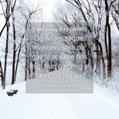 Picture 04 - 1 Mosebog 3:12 DA1871 - Og Adam sagde: Kvinden, som du gav til at være - Bible Verse Picture