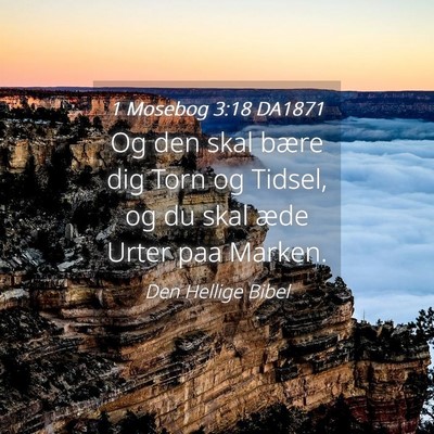 Picture 04 - 1 Mosebog 3:18 DA1871 - Og den skal bære dig Torn og Tidsel, og du skal - Bible Verse Picture