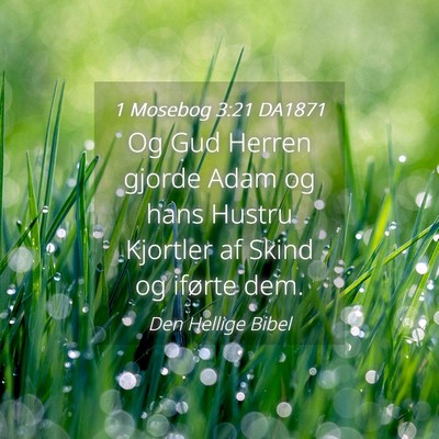 Picture 04 - 1 Mosebog 3:21 DA1871 - Og Gud Herren gjorde Adam og hans Hustru Kjortler - Bible Verse Picture