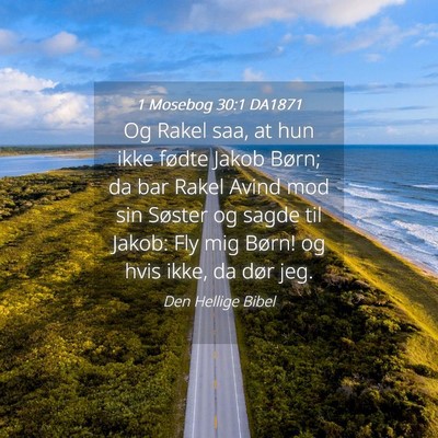 Picture 04 - 1 Mosebog 30:1 DA1871 - Og Rakel saa, at hun ikke fødte Jakob Børn; da - Bible Verse Picture