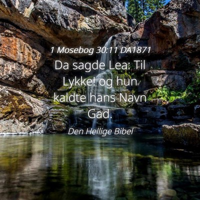 Picture 04 - 1 Mosebog 30:11 DA1871 - Da sagde Lea: Til Lykke! og hun kaldte hans Navn - Bible Verse Picture