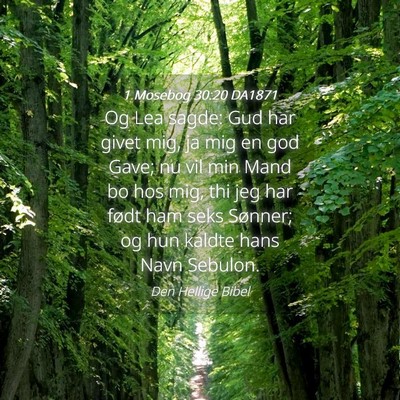 Picture 04 - 1 Mosebog 30:20 DA1871 - Og Lea sagde: Gud har givet mig, ja mig en god - Bible Verse Picture