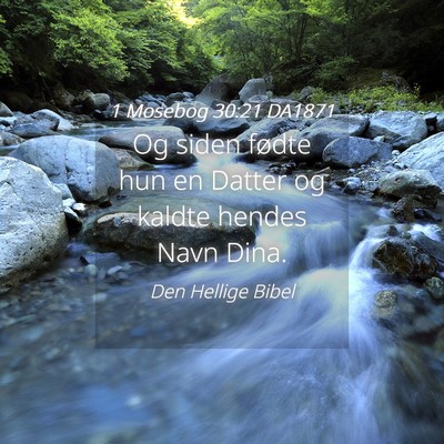 Picture 04 - 1 Mosebog 30:21 DA1871 - Og siden fødte hun en Datter og kaldte hendes - Bible Verse Picture