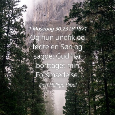 Picture 04 - 1 Mosebog 30:23 DA1871 - Og hun undfik og fødte en Søn og sagde: Gud har - Bible Verse Picture