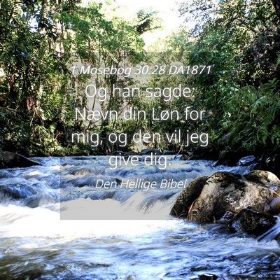 Picture 04 - 1 Mosebog 30:28 DA1871 - Og han sagde: Nævn din Løn for mig, og den vil - Bible Verse Picture