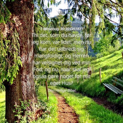 Picture 04 - 1 Mosebog 30:30 DA1871 - Thi det, som du havde, før jeg kom, var lidet; - Bible Verse Picture