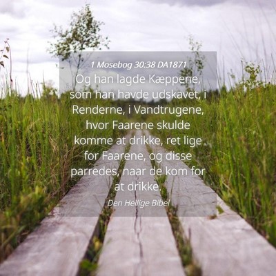 Picture 04 - 1 Mosebog 30:38 DA1871 - Og han lagde Kæppene, som han havde udskavet, i - Bible Verse Picture