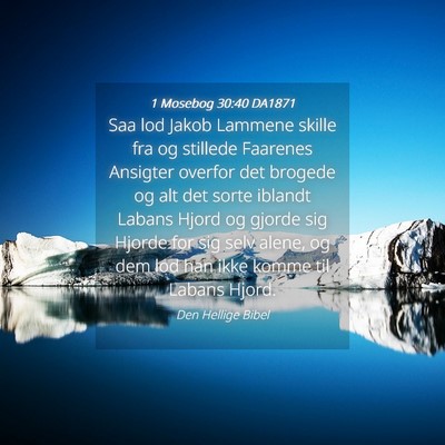 Picture 04 - 1 Mosebog 30:40 DA1871 - Saa lod Jakob Lammene skille fra og stillede - Bible Verse Picture