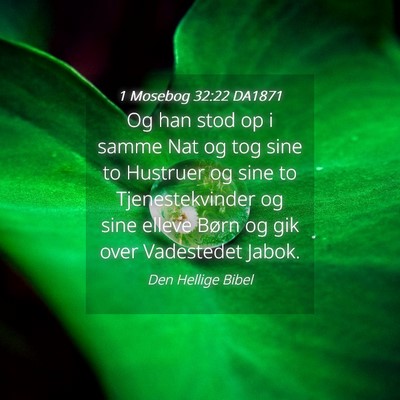 Picture 04 - 1 Mosebog 32:22 DA1871 - Og han stod op i samme Nat og tog sine to - Bible Verse Picture