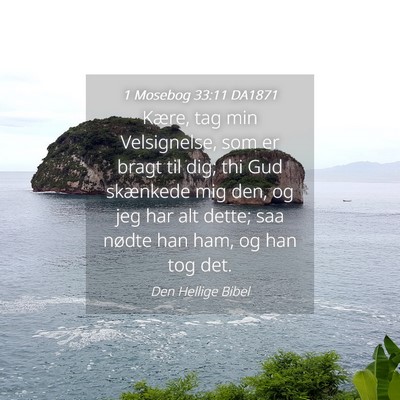 Picture 04 - 1 Mosebog 33:11 DA1871 - Kære, tag min Velsignelse, som er bragt til dig; - Bible Verse Picture