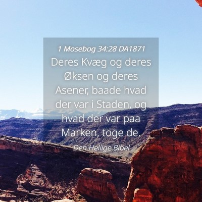 Picture 04 - 1 Mosebog 34:28 DA1871 - Deres Kvæg og deres Øksen og deres Asener, - Bible Verse Picture