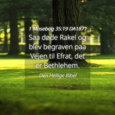 Picture 04 - 1 Mosebog 35:19 DA1871 - Saa døde Rakel og blev begraven paa Vejen til - Bible Verse Picture