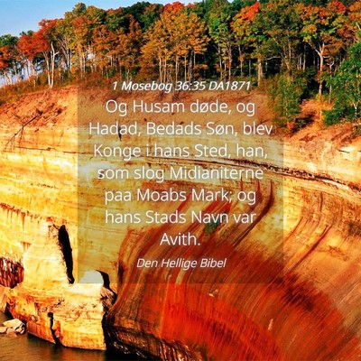 Picture 04 - 1 Mosebog 36:35 DA1871 - Og Husam døde, og Hadad, Bedads Søn, blev Konge - Bible Verse Picture
