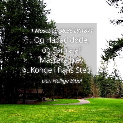 Picture 04 - 1 Mosebog 36:36 DA1871 - Og Hadad døde, og Samla af Masreka blev Konge i - Bible Verse Picture
