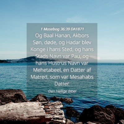 Picture 04 - 1 Mosebog 36:39 DA1871 - Og Baal Hanan, Akbors Søn, døde, og Hadar blev - Bible Verse Picture