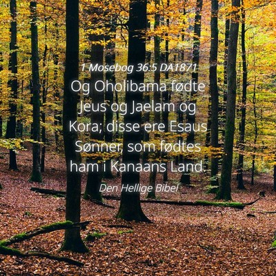 Picture 04 - 1 Mosebog 36:5 DA1871 - Og Oholibama fødte Jeus og Jaelam og Kora; disse - Bible Verse Picture