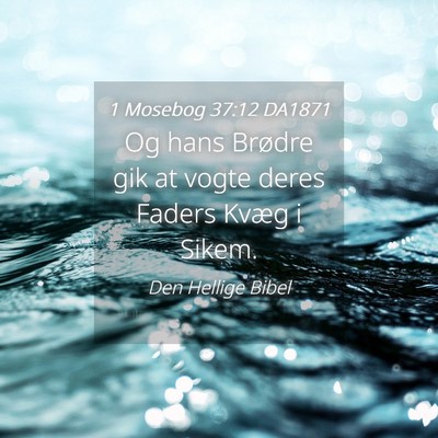 Picture 04 - 1 Mosebog 37:12 DA1871 - Og hans Brødre gik at vogte deres Faders Kvæg i - Bible Verse Picture