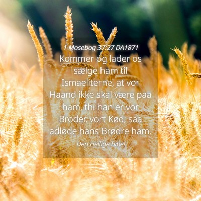 Picture 04 - 1 Mosebog 37:27 DA1871 - Kommer og lader os sælge ham til Ismaeliterne, - Bible Verse Picture