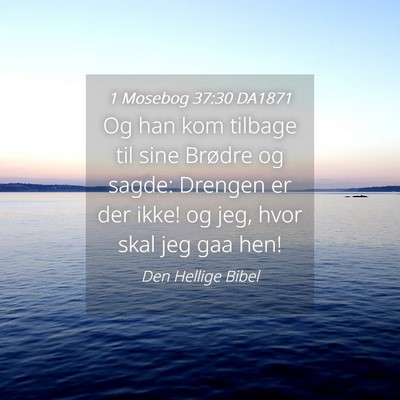 Picture 04 - 1 Mosebog 37:30 DA1871 - Og han kom tilbage til sine Brødre og sagde: - Bible Verse Picture