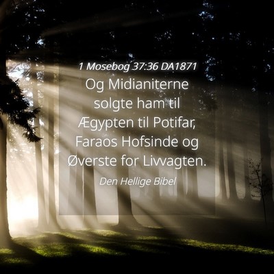 Picture 04 - 1 Mosebog 37:36 DA1871 - Og Midianiterne solgte ham til Ægypten til - Bible Verse Picture