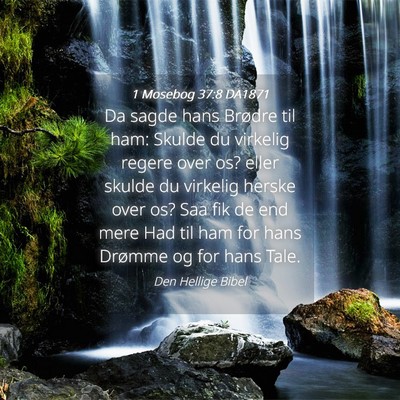 Picture 04 - 1 Mosebog 37:8 DA1871 - Da sagde hans Brødre til ham: Skulde du virkelig - Bible Verse Picture