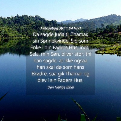 Picture 04 - 1 Mosebog 38:11 DA1871 - Da sagde Juda til Thamar, sin Sønnekvinde: Sid - Bible Verse Picture