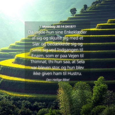 Picture 04 - 1 Mosebog 38:14 DA1871 - Da lagde hun sine Enkeklæder af sig og skjulte - Bible Verse Picture